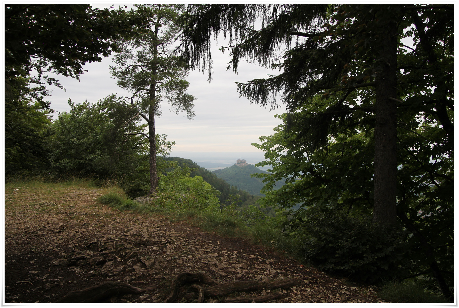 Blick vom Raichberg