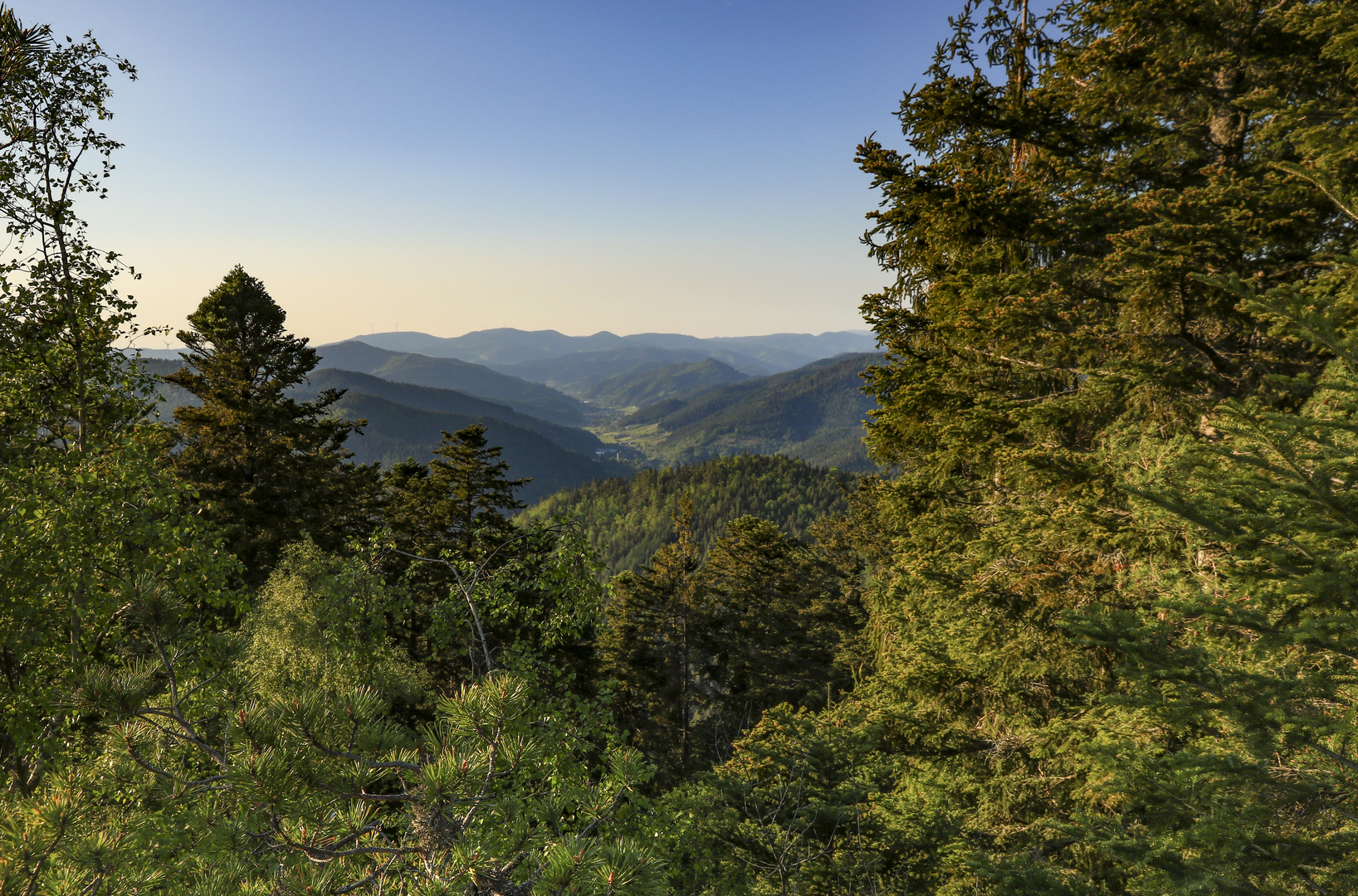 Blick vom Rappenfelsen bei Hornberg