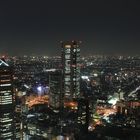 Blick vom Rathaus, Tokyo