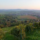 Blick vom Rauberg auf Sülzbach