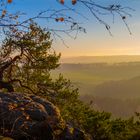 Blick vom Rauenstein