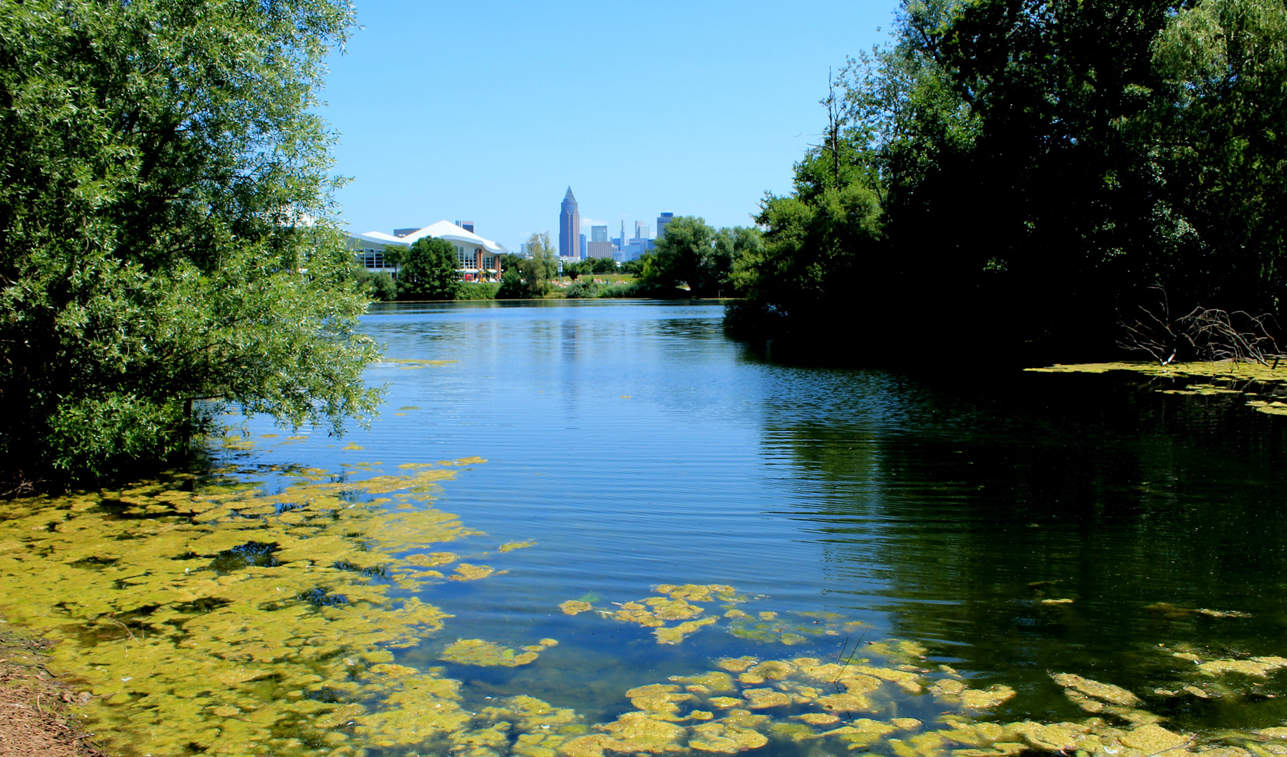 Blick vom Rebstocker Weiher auf Frankfurt