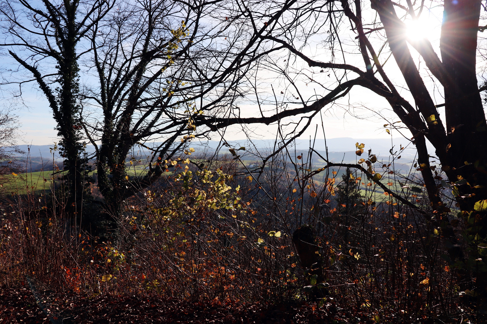 Blick vom Rechberg