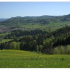 *Blick vom Rechberg nach Osten