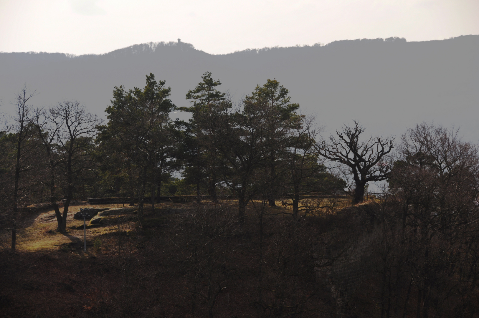 Blick vom Regenstein