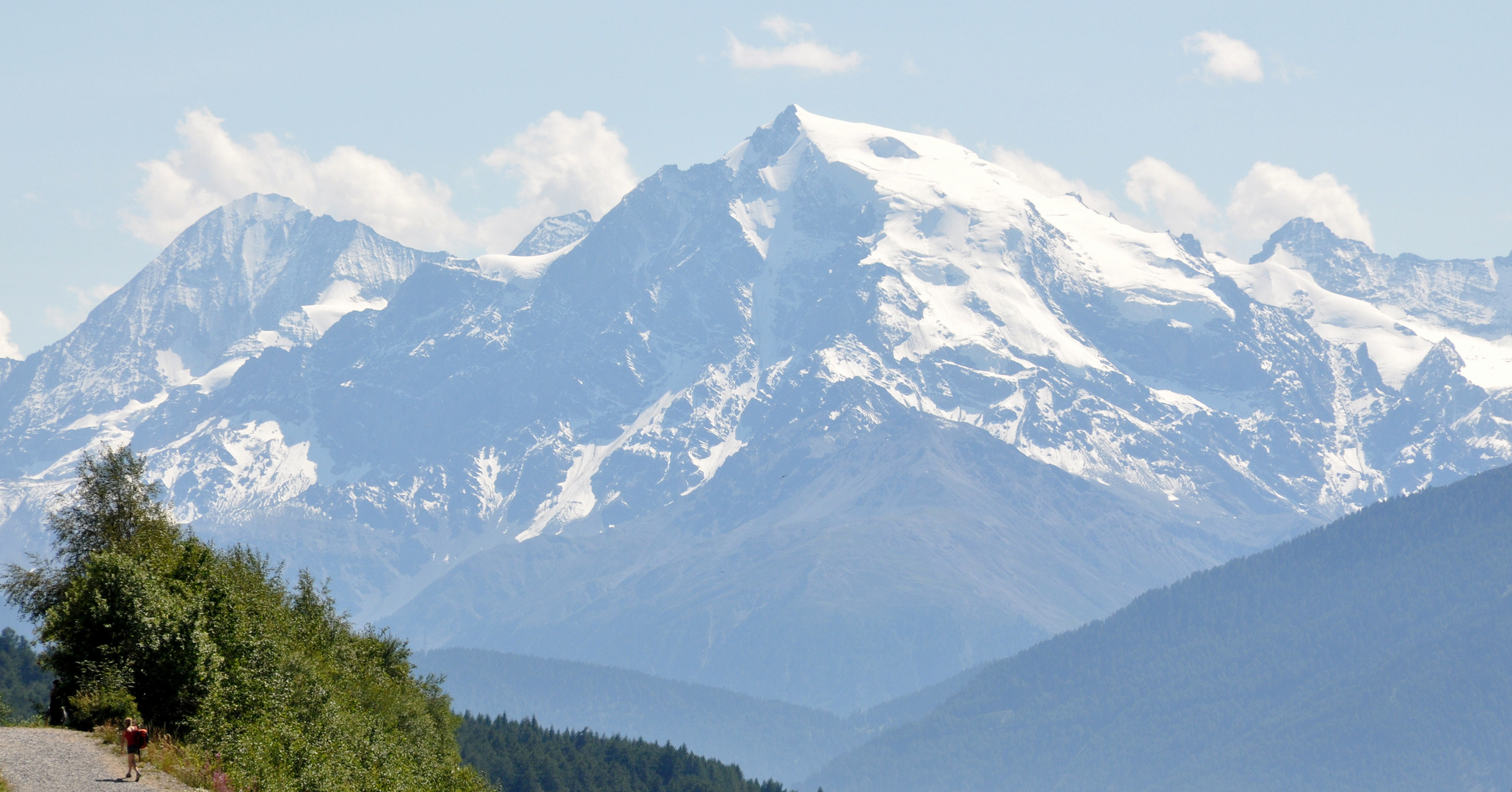 Blick vom Reschensee zum Ortler