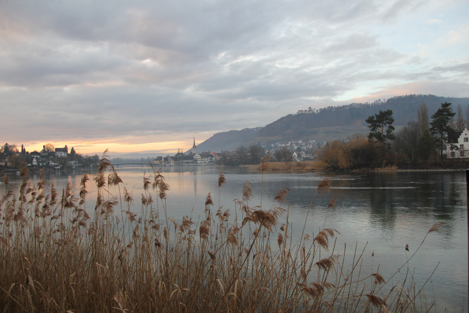 Blick vom Rhein