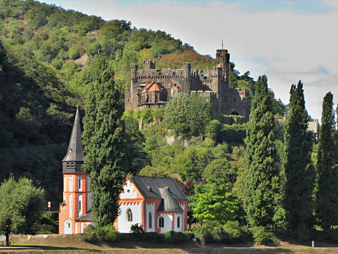 Blick vom Rhein I