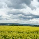 Blick vom Riesenlöffel Arnstadt auf das Thüringerbecken