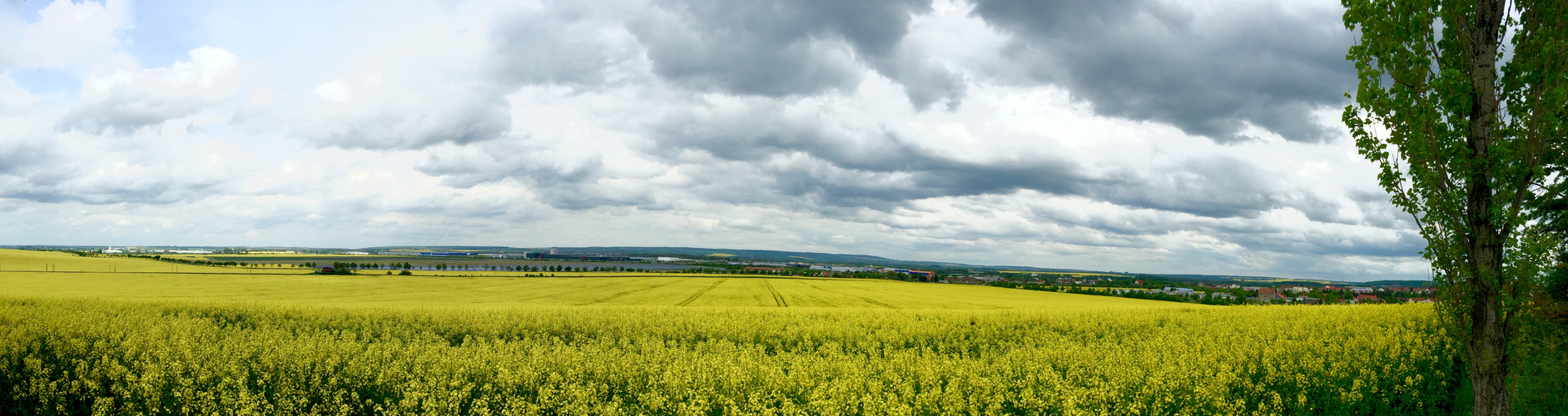 Blick vom Riesenlöffel Arnstadt auf das Thüringerbecken