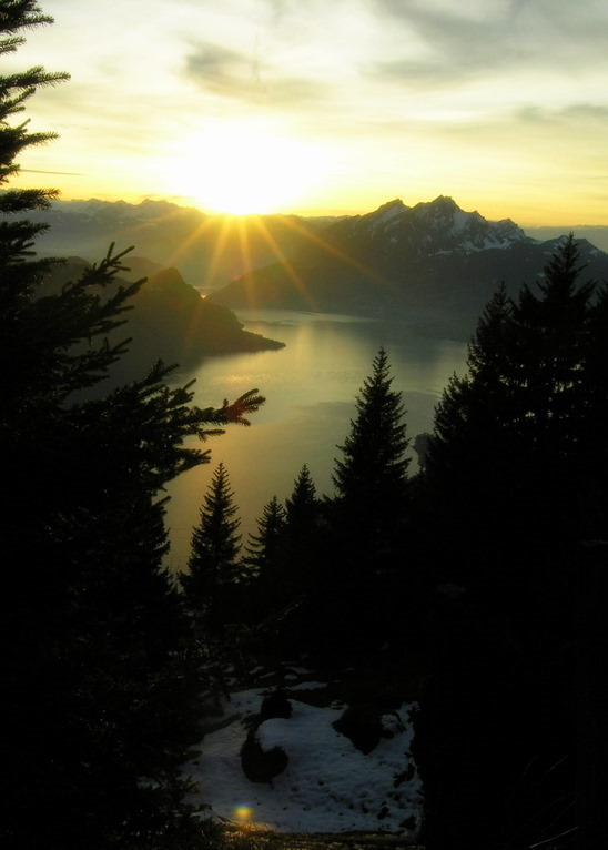 Blick vom Rigi