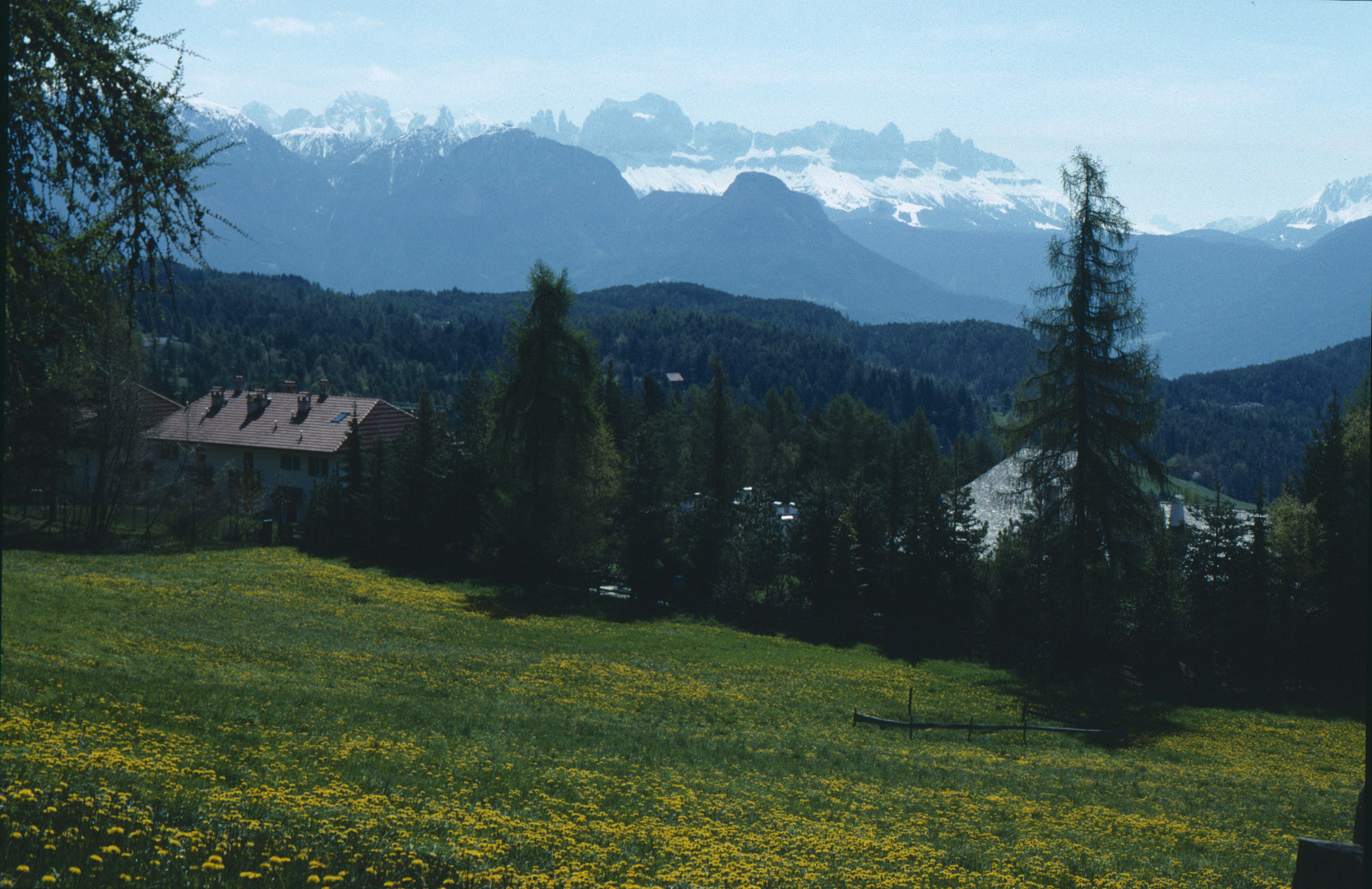 Blick vom Ritten/Bozen zu den Dolomiten