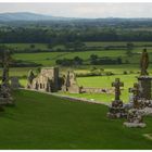 Blick vom Rock of Cashel zur Hore Abbey