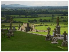 Blick vom Rock of Cashel zur Hore Abbey