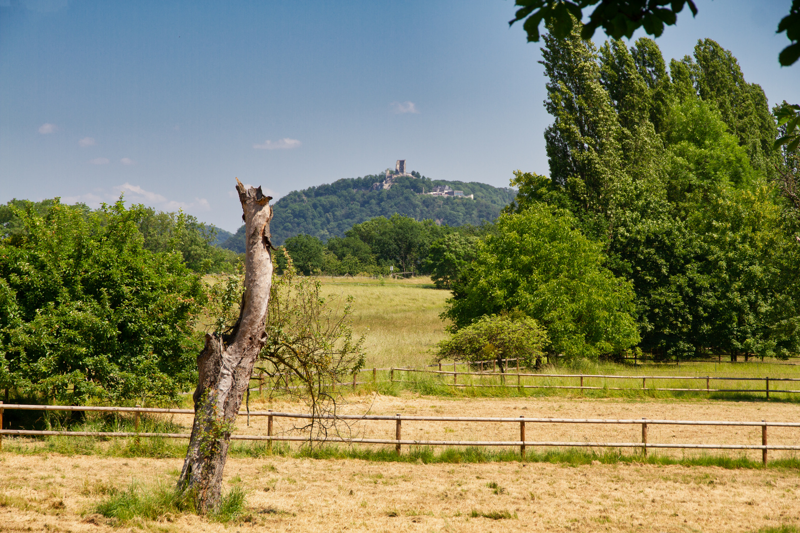 Blick vom Rodderberg