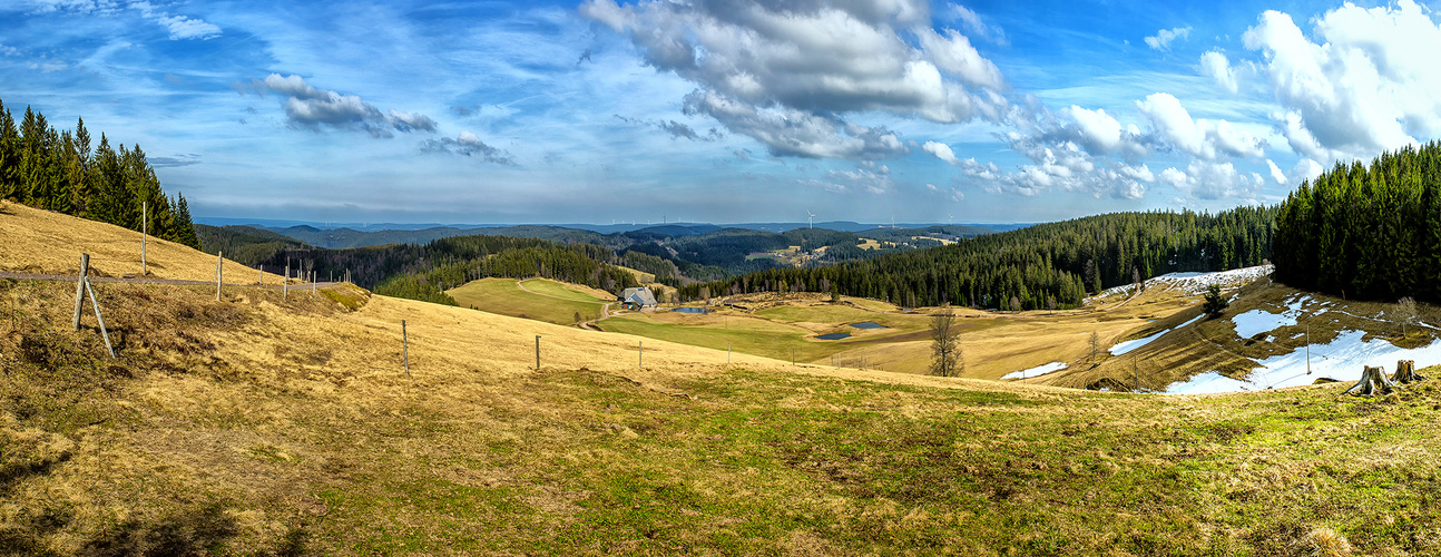 Blick vom Rohrhardsberg/Schwarzwald im März
