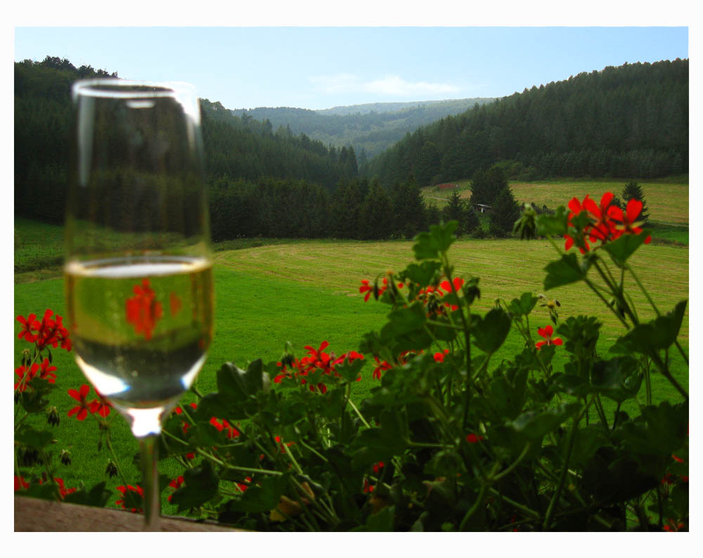 Blick vom Romantikhof-Balkon Sauerland