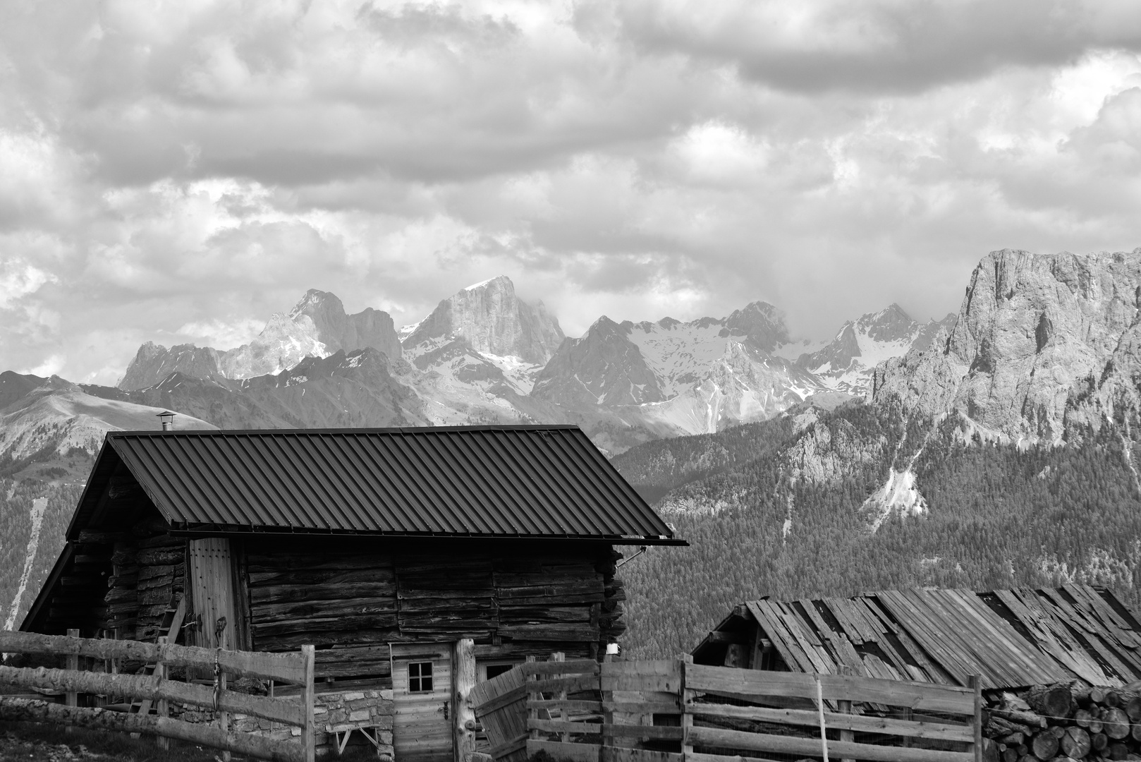 Blick vom Rosengarten aus