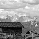 Blick vom Rosengarten aus