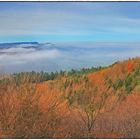 Blick vom Roßberg zum Albtrauf