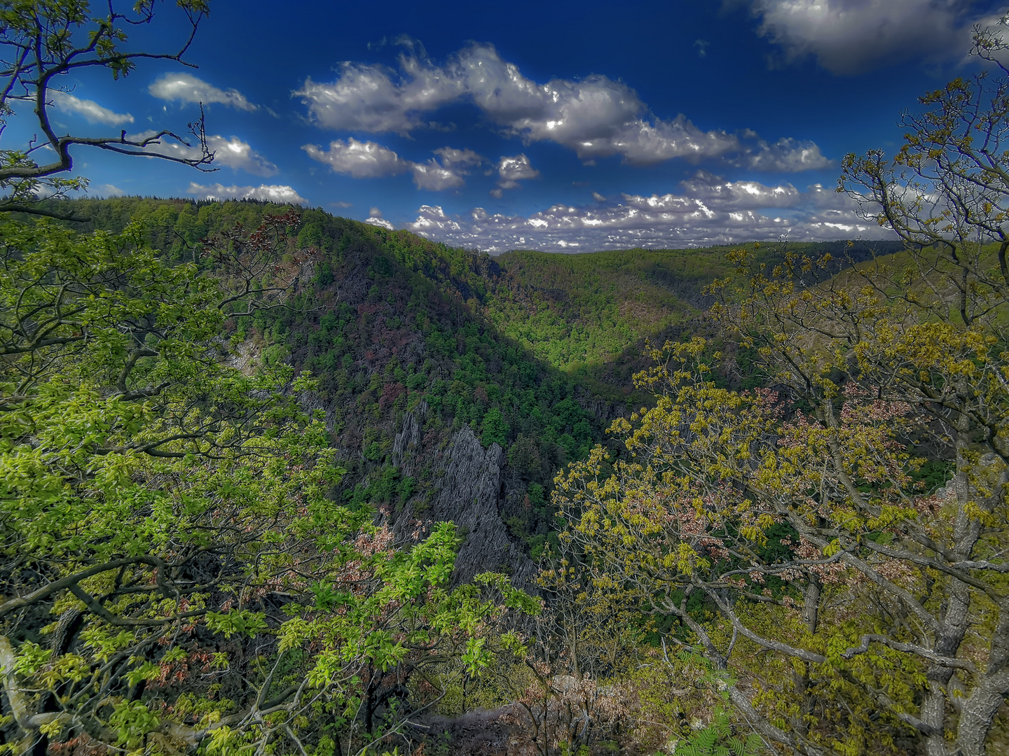 Blick vom Rosstrappenfels