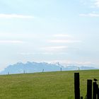Blick vom Rüsler in die Glarner Alpen