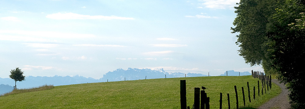 Blick vom Rüsler in die Glarner Alpen