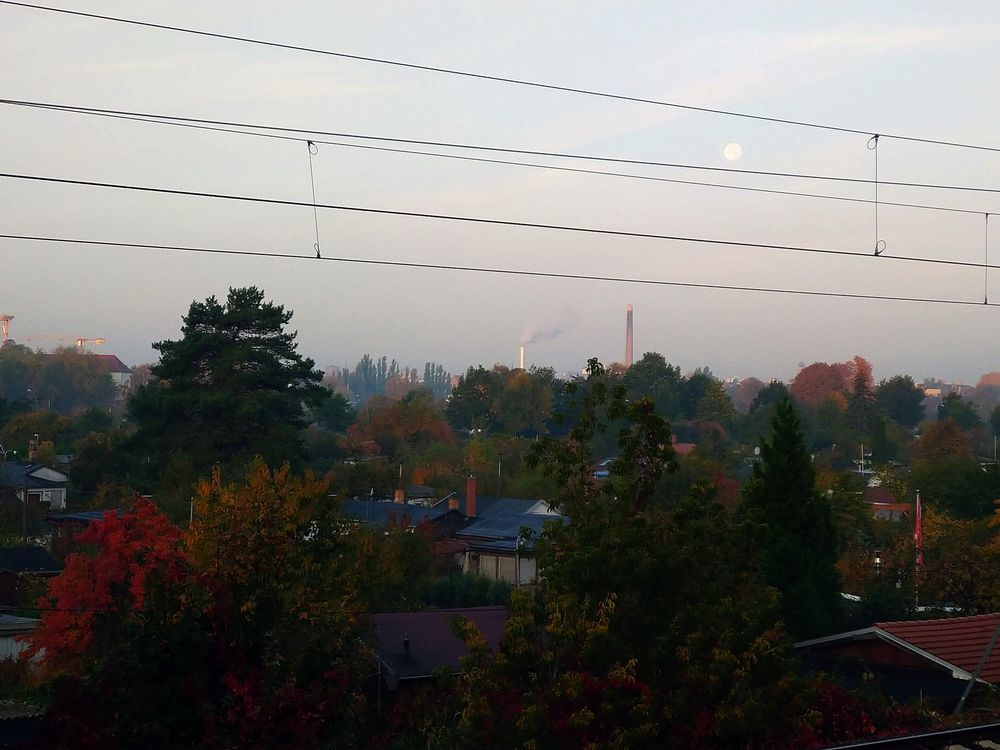 Blick vom S-Bahnhof Plänterwald am Morgen