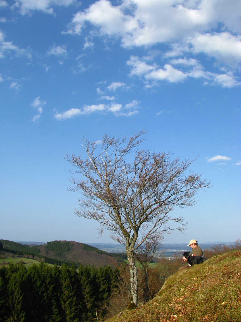 Blick vom Sauerländer "Hochgebirge"