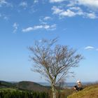 Blick vom Sauerländer "Hochgebirge"