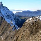 Blick vom Schäfler zum Säntis