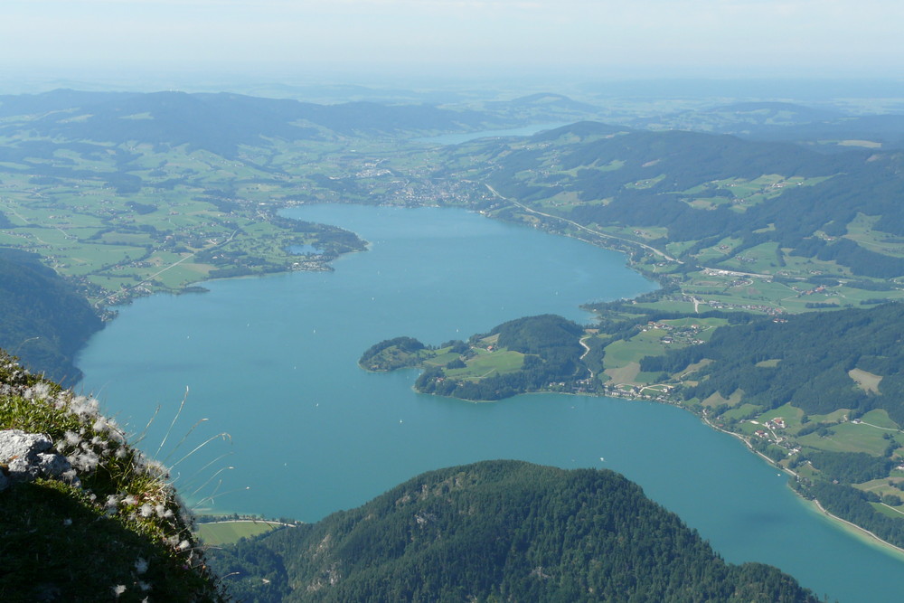 Blick vom Schafberg