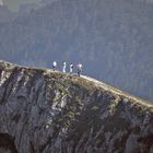 Blick vom Schafberg in Österreich