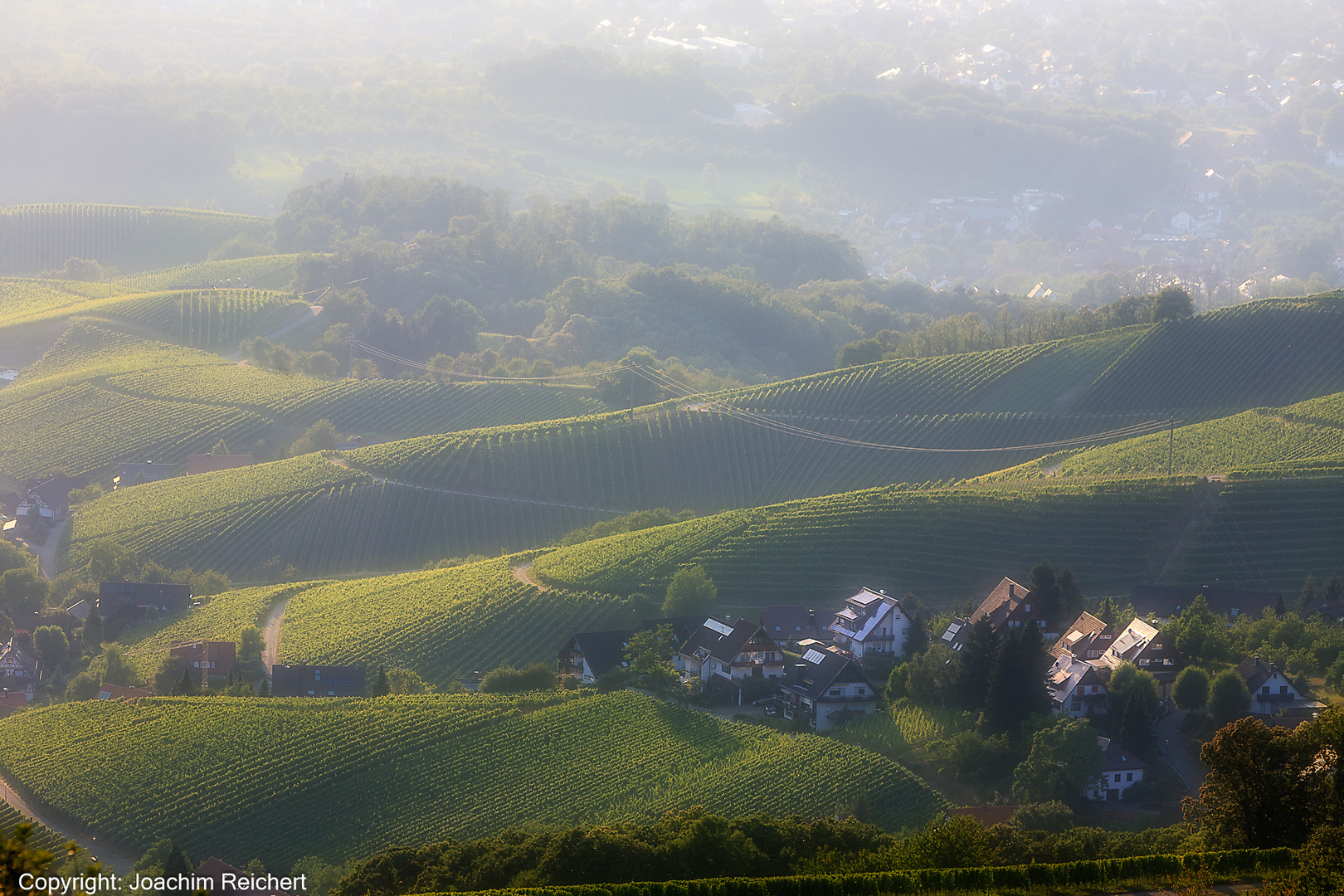 Blick vom Scharzwald über das Rebland