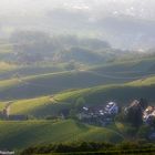 Blick vom Scharzwald über das Rebland