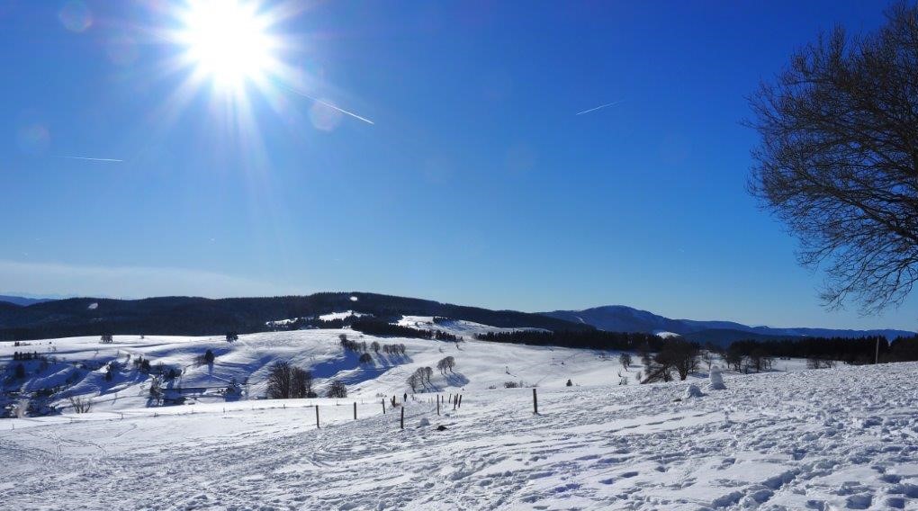 Blick vom Schauinsland