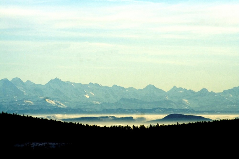 Blick vom Schauinsland (Freiburg)