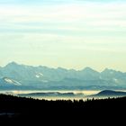 Blick vom Schauinsland (Freiburg)