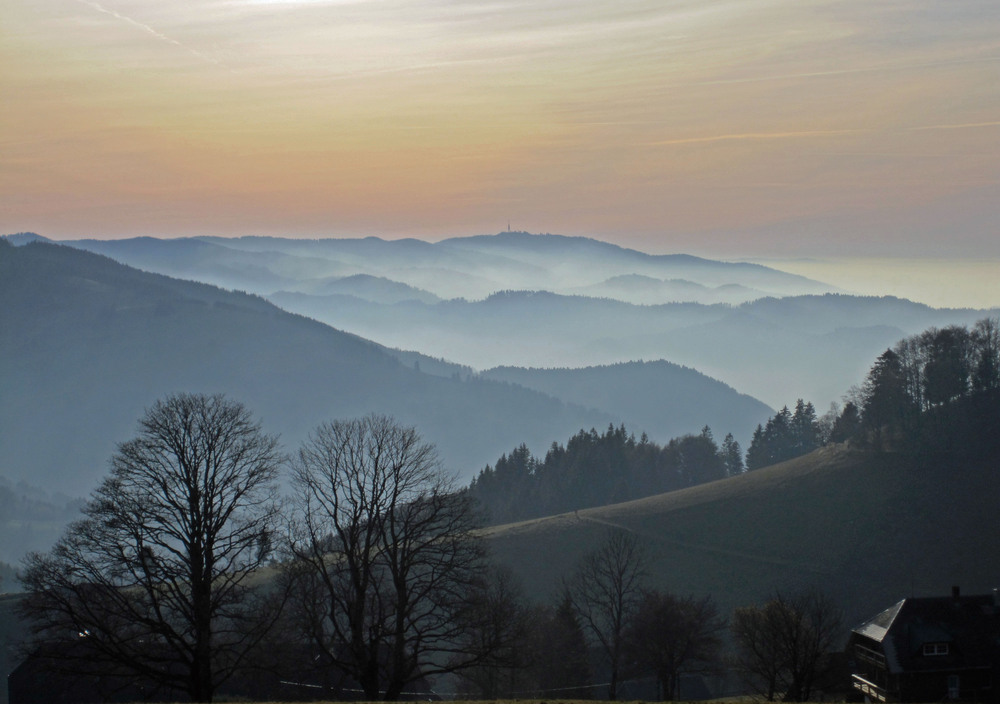 Blick vom Schauinsland Richtung Blauen