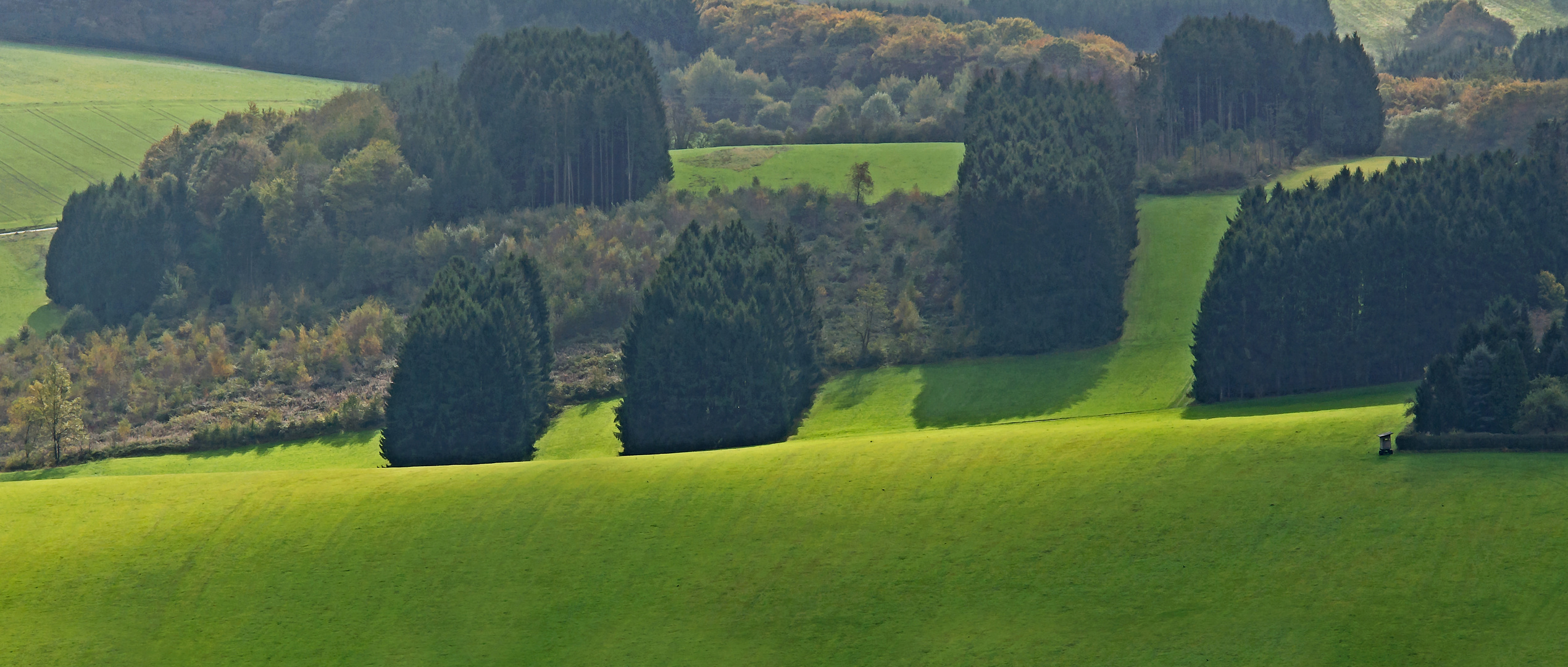 Blick vom Schaumberg