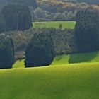 Blick vom Schaumberg