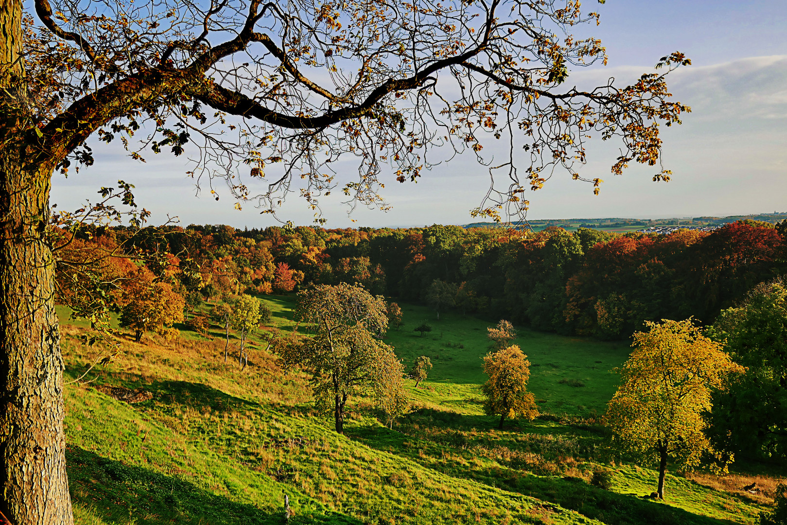 Blick vom Schiffenberg