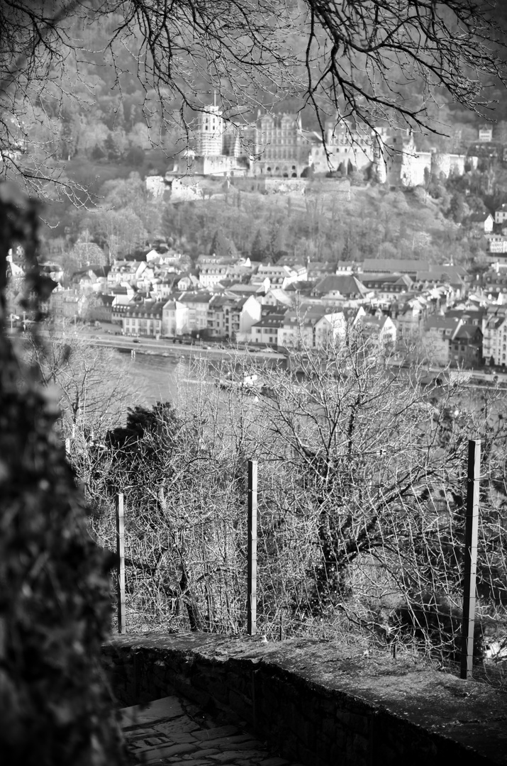 Blick vom Schlangenweg auf Heidelberger Schloss