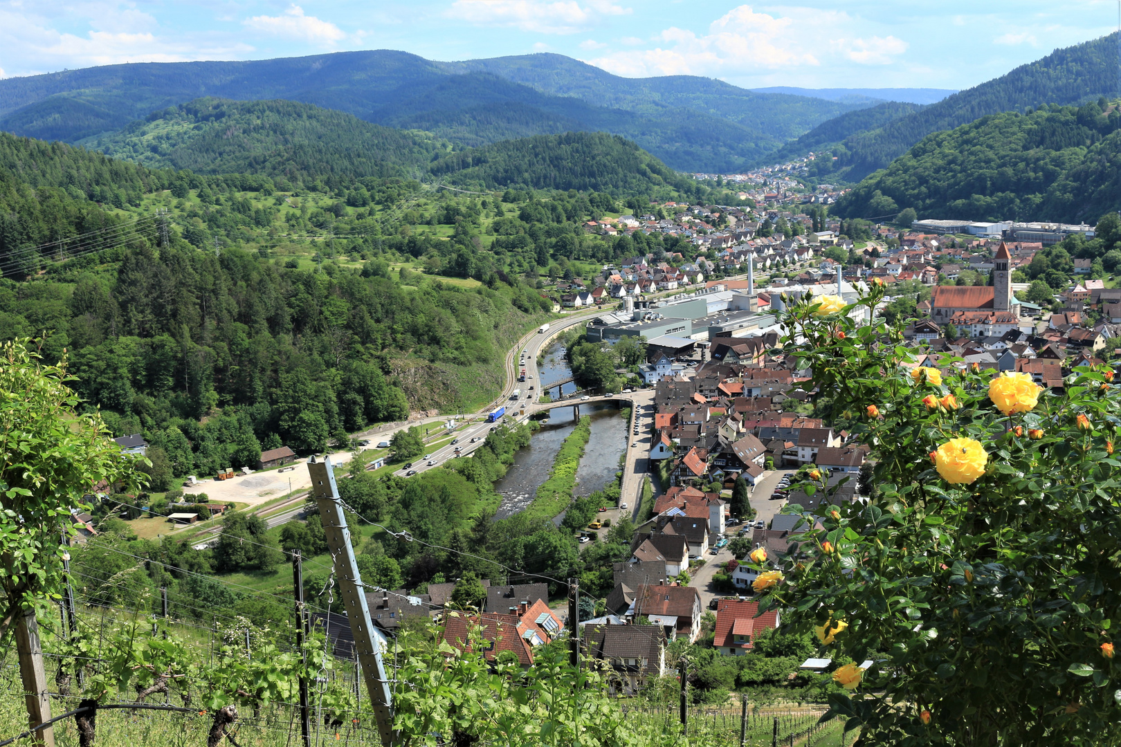 Blick vom Schloss Eberstein ins Murgtal