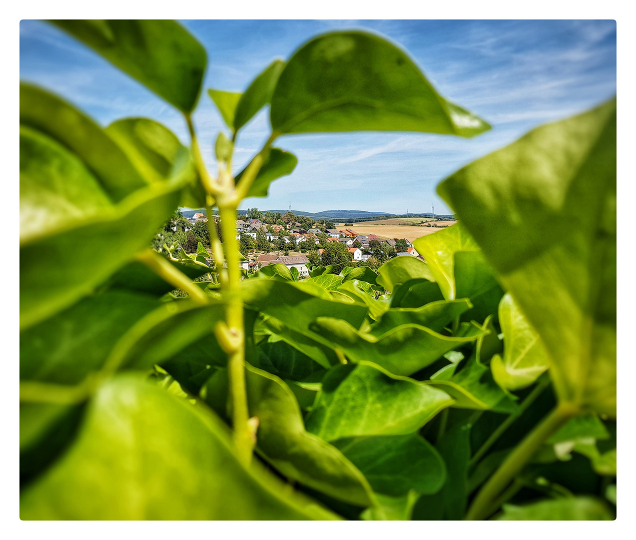 Blick vom Schloss Friedrichstein auf Bad Wildungen