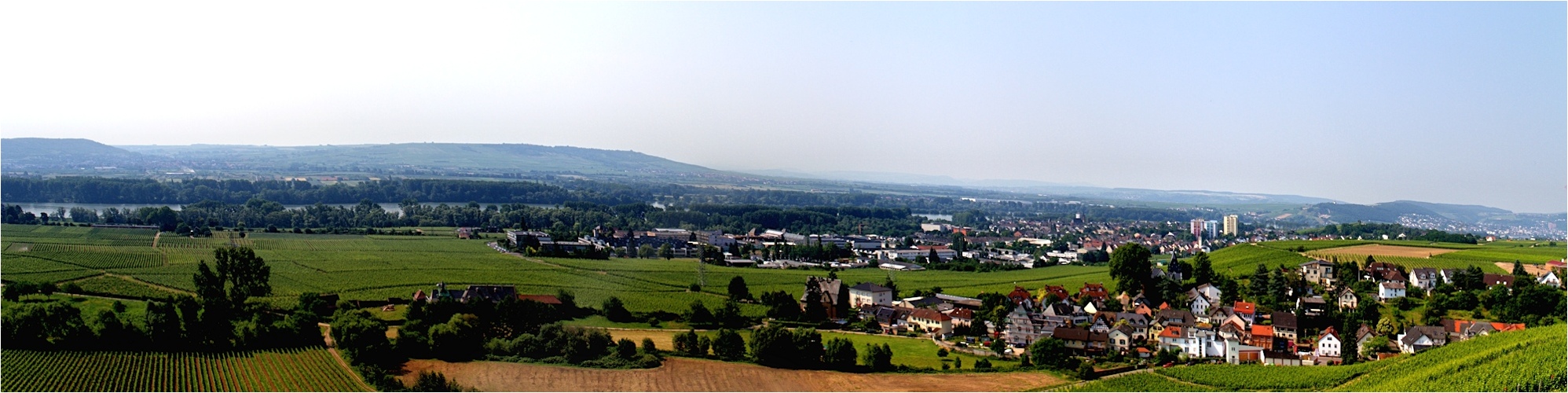 blick vom schloss johannisberg ...