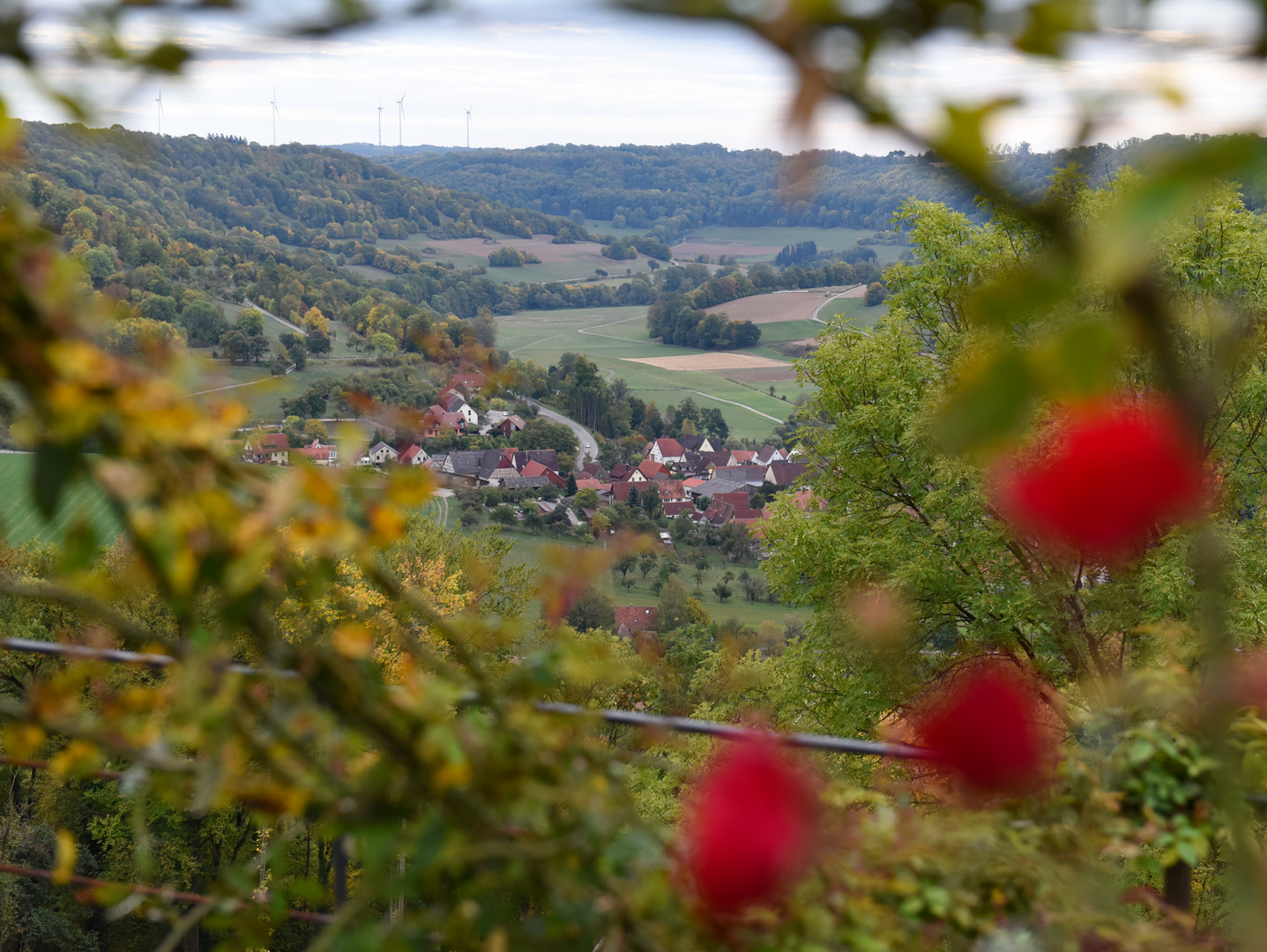 Blick vom Schloss Langenburg