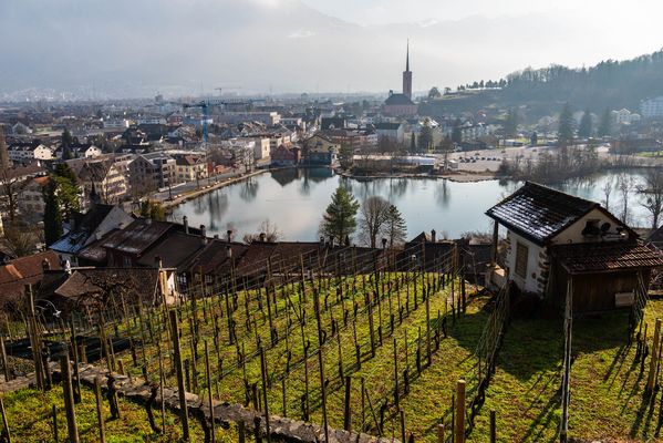 Blick vom Schloss Werdenberg auf Buchs