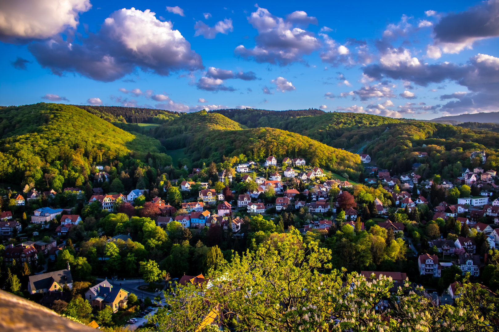 Blick vom Schloß Wernigerode