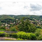 Blick vom Schloß - Wernigerode